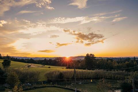Small paradise at the edge of the forest with sunset