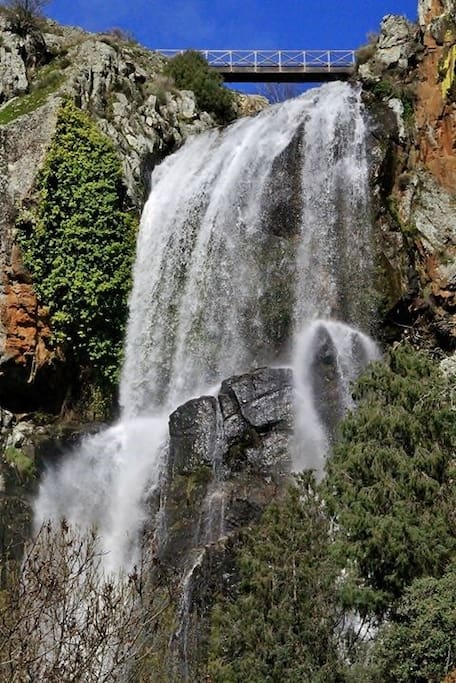 Faia de Água alta Lamoso