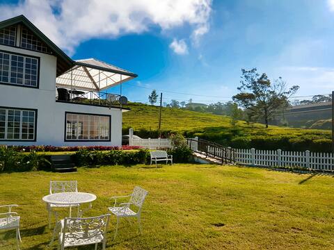 Family Room | Panoramic Tea View | The Tea Garden