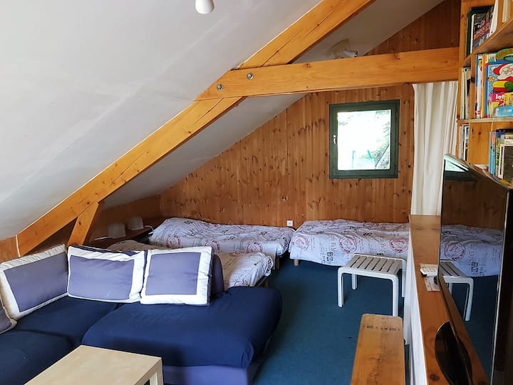 חדר משחקים עם טלוויזיה + 3 מיטות נפרדות עם וילון נייד