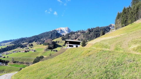 Vacation home in the Großes Walsertal Biosphere Reserve