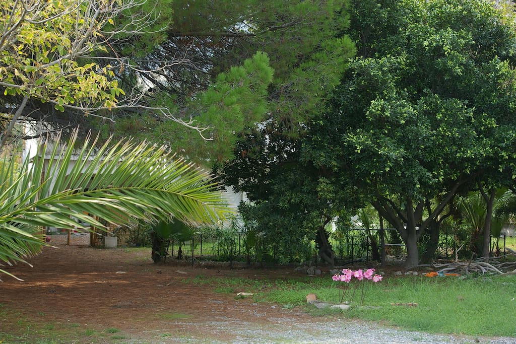 Un angolo del parco con i laghetti. A corner of the park with ponds.