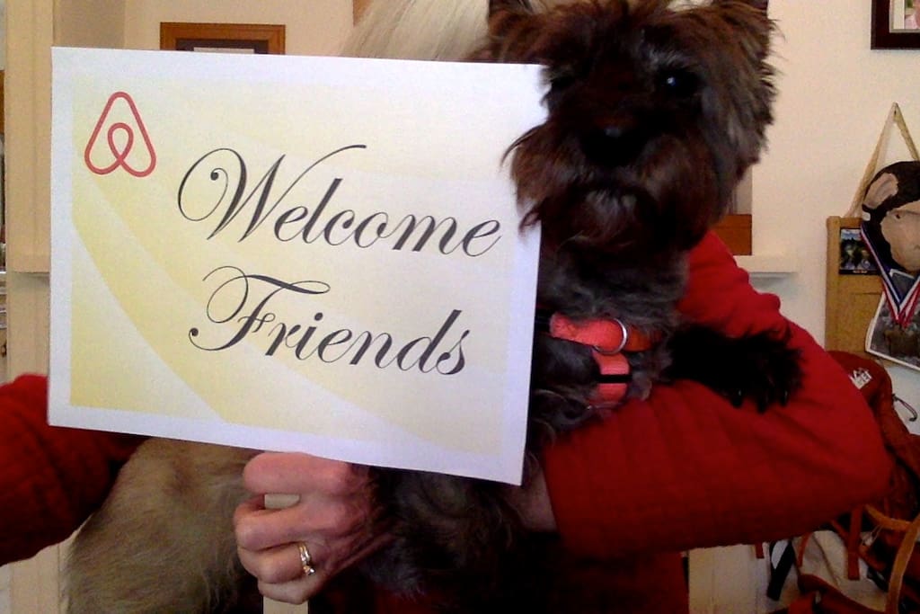 Our sweet Cairn Terrier, Lincoln looks forward to greeting you.