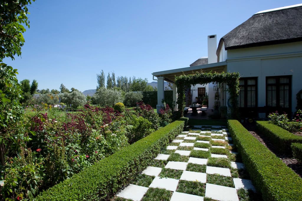 Back Garden