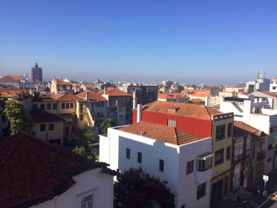 The view from the terrace