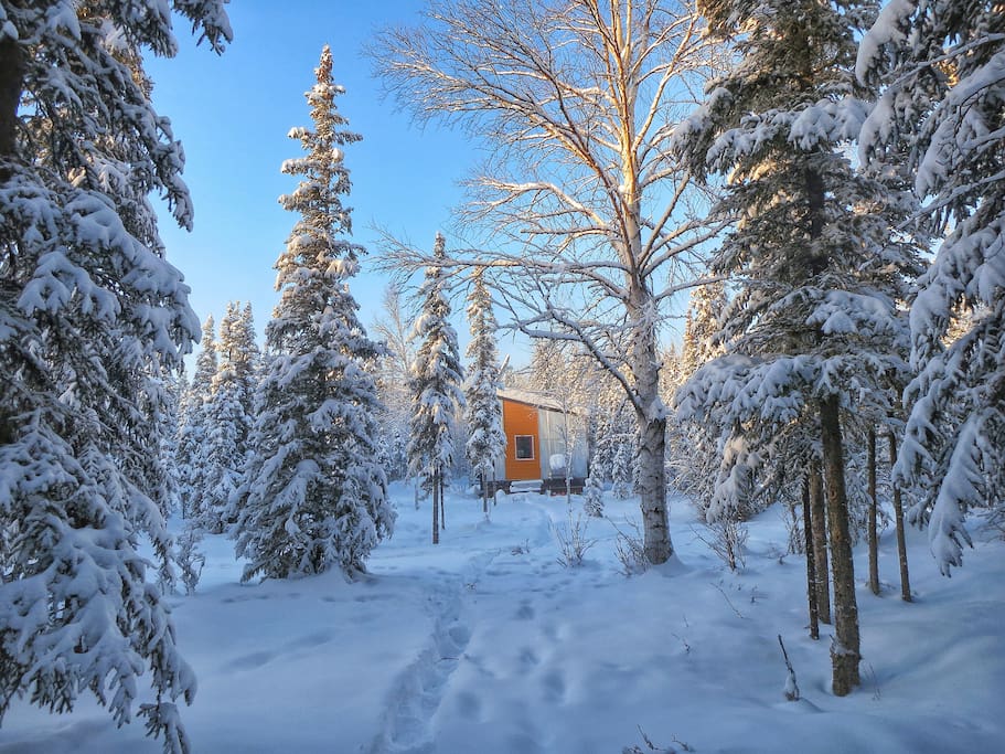 Gorgeous winter afternoon view from a short walk to O'Conner Creek directly behind the cabin