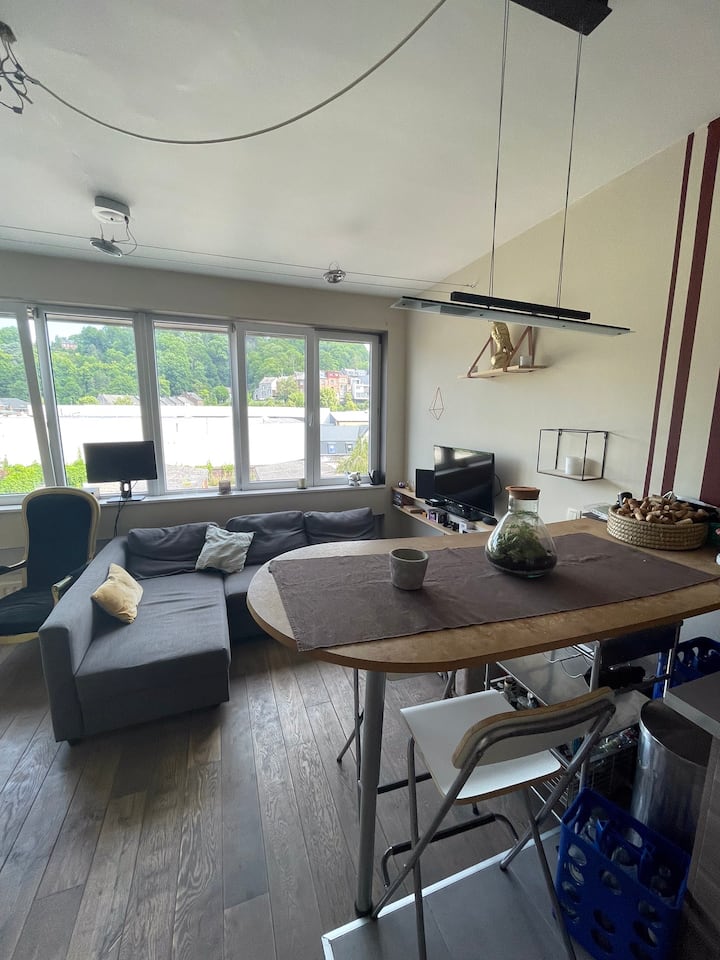 Studio Malibu - Andenne
