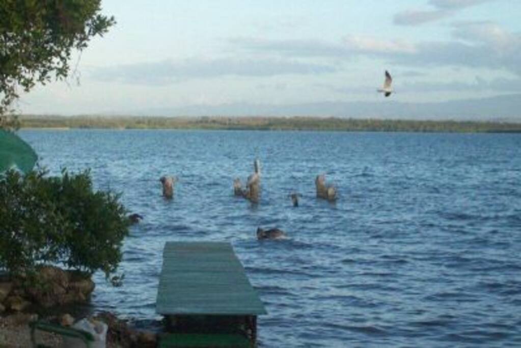 View of the Sea