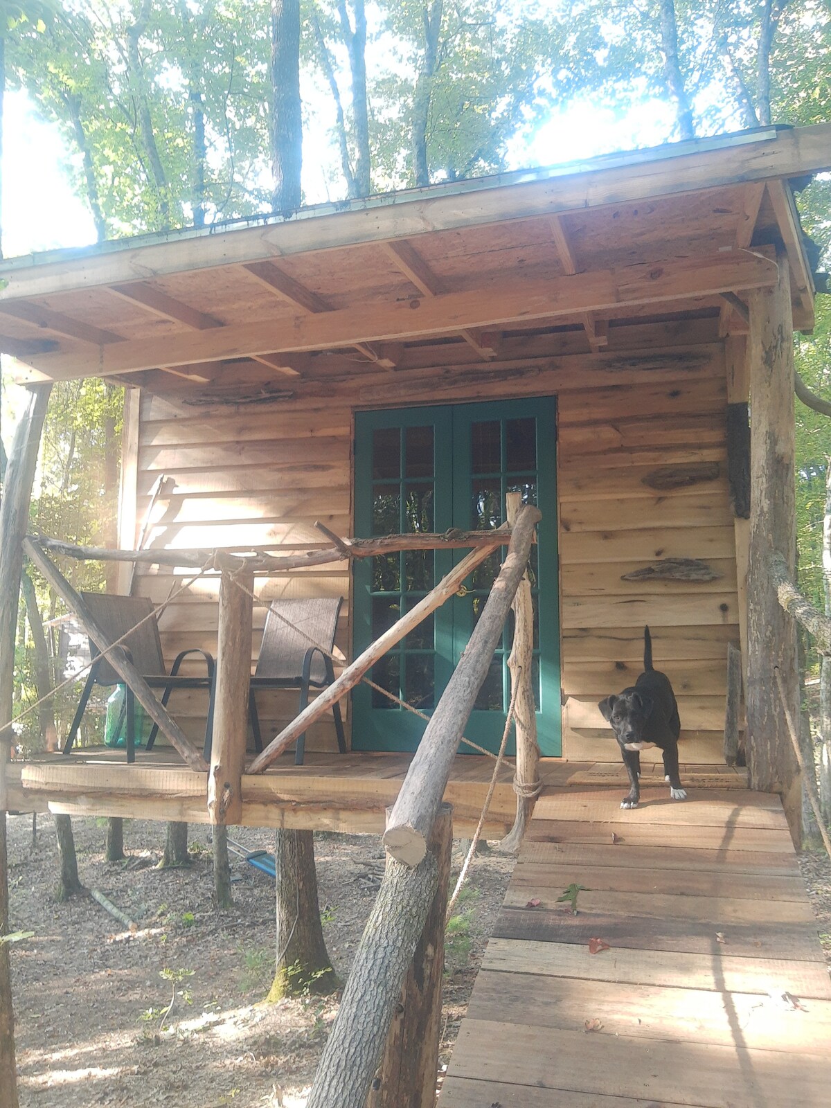 A rustic treehouse constructed from local lumber is nestled in a forest. Two chairs are positioned on a small porch, and a black dog stands on the wooden pathway leading to the entrance. The inviting green doors contrast with the natural wood finish.