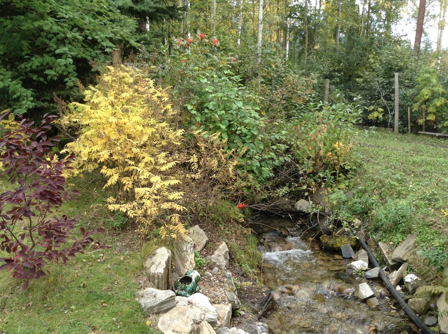 Hogan Creek-mountain stream