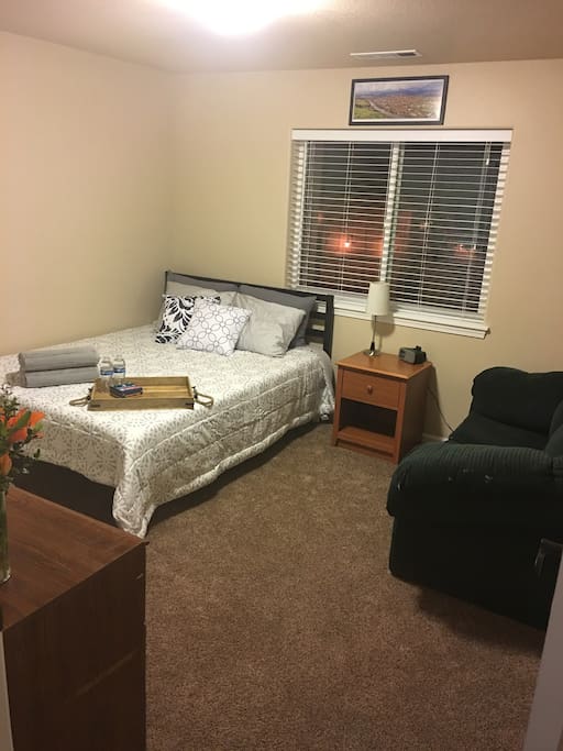 Private room with Queen Bed (Brand new Mattress, bedding and pillows), Couch, Bedside Table and Dresser