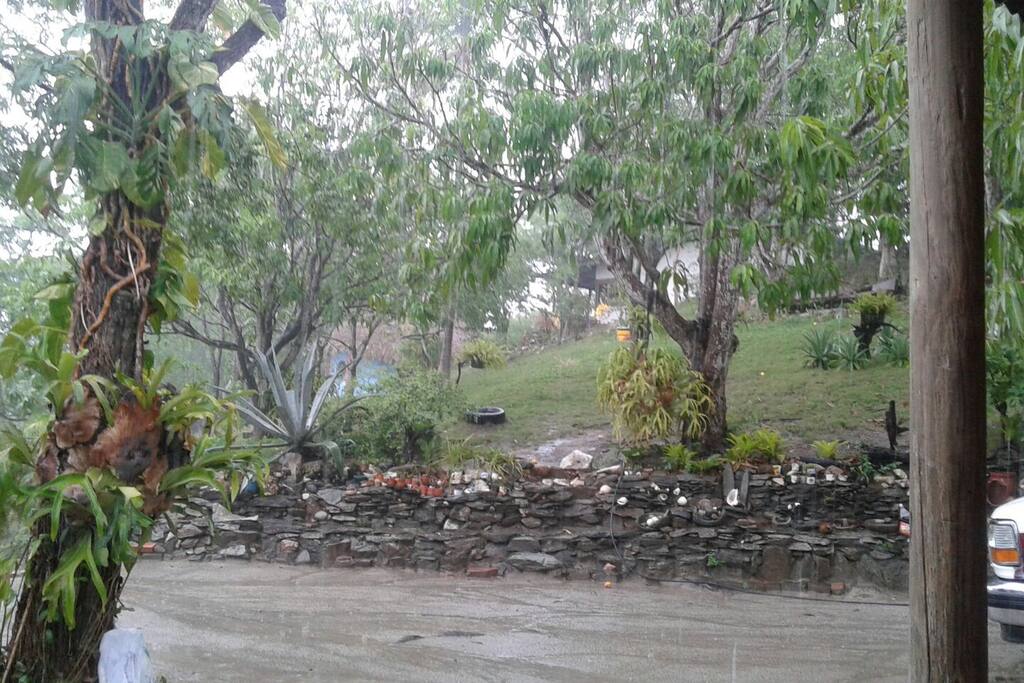 JARDÍN DE LA COSINA