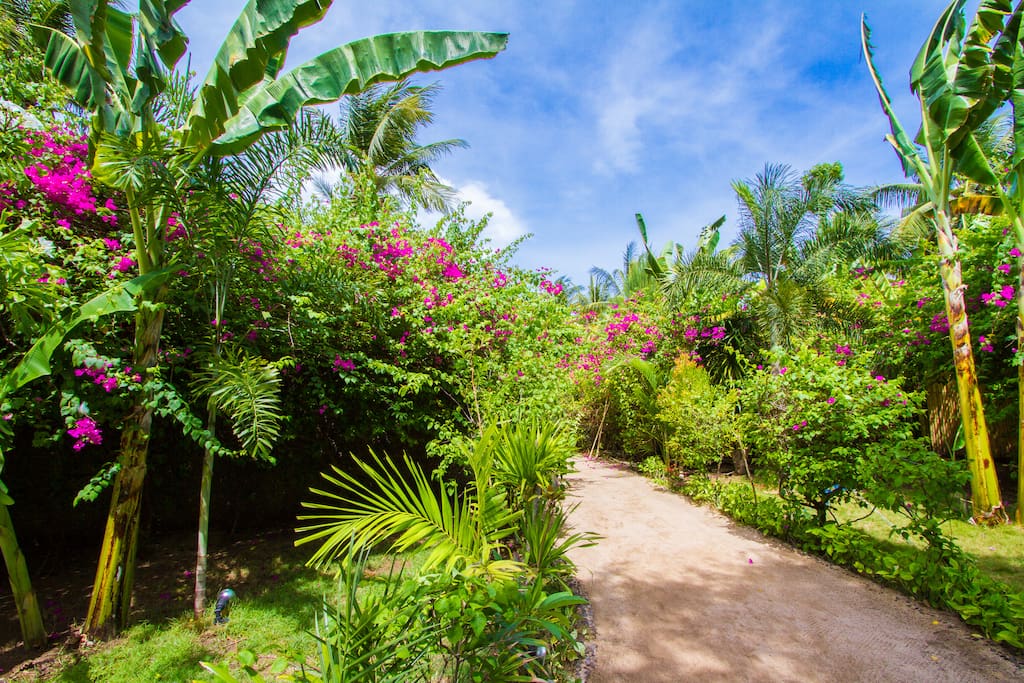 Environnement tropical