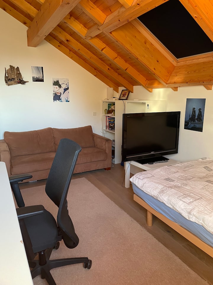 Dormitorio con 3 camas, 120, TV, sofá, escritorio, vista al Jura.