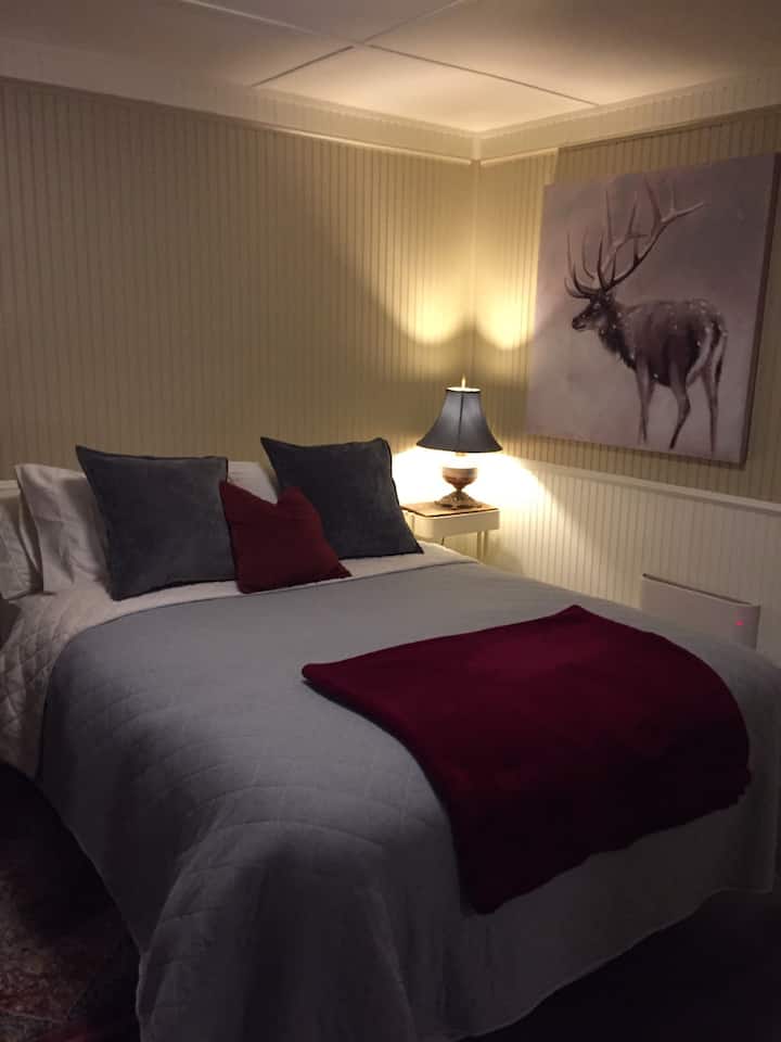 Bedroom Area with Queen Bed