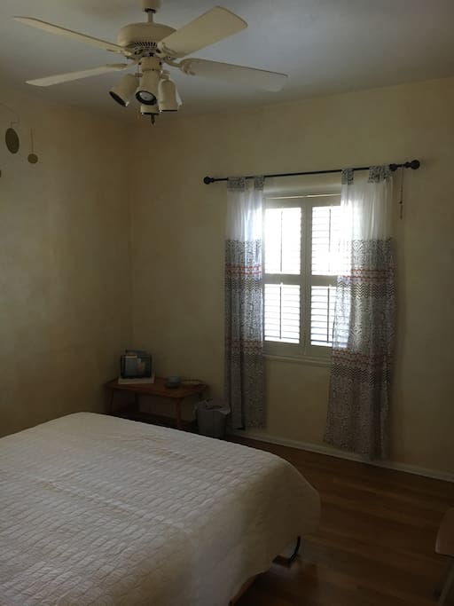 Ceiling fan and natural light