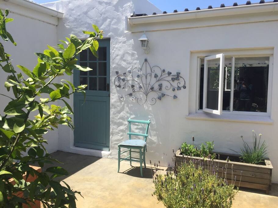 View onto back courtyard garden entrance to lounge