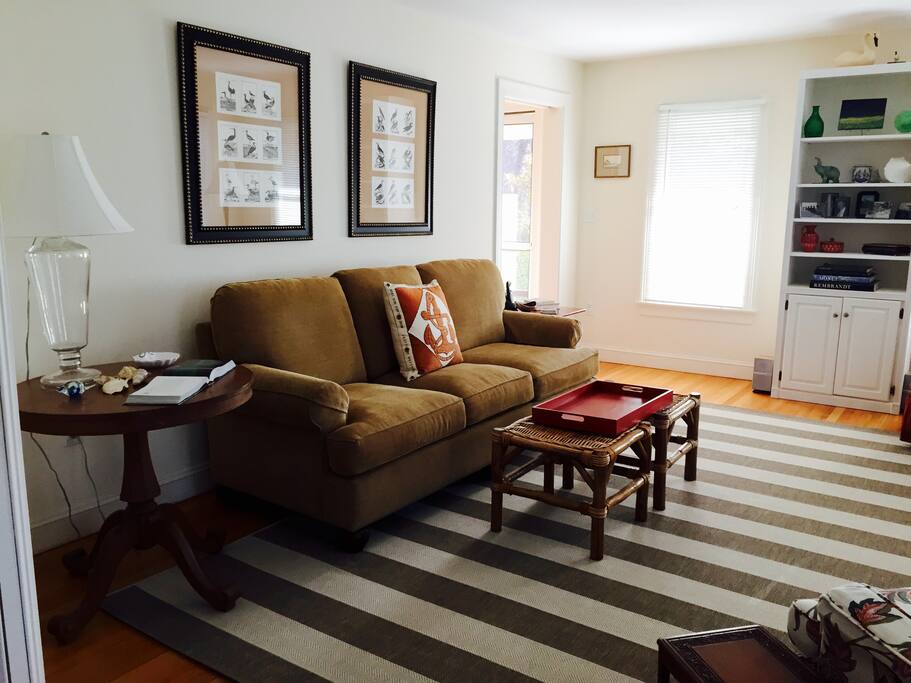 downstairs living room