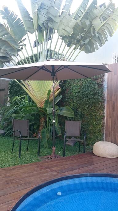 umbrella
