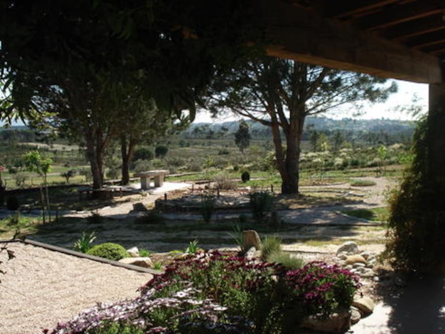 Our peaceful gardens