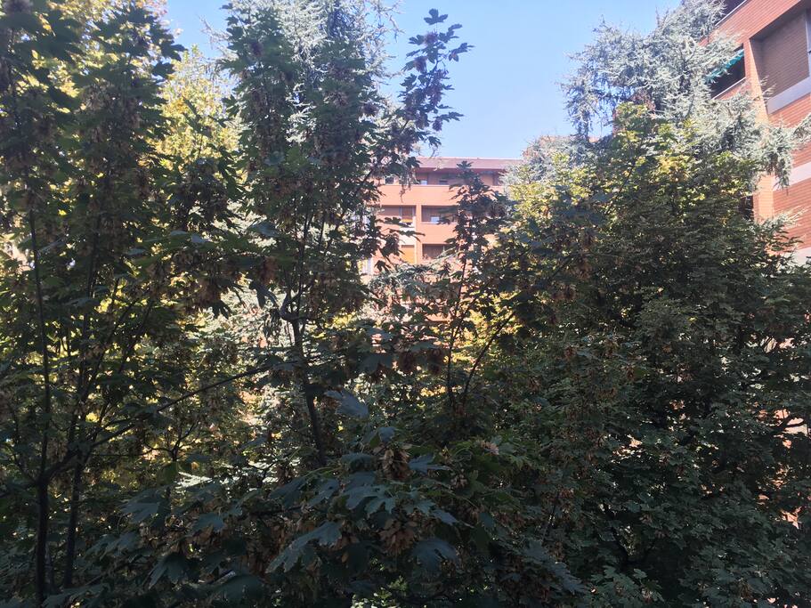 Finestra che da sul cortile interno ESTATE
