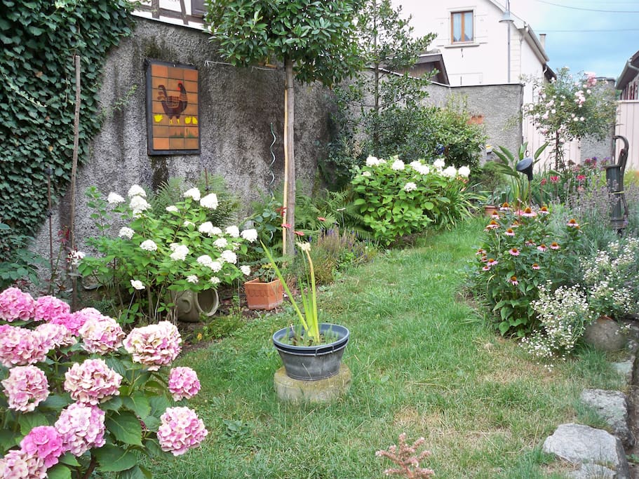jardin