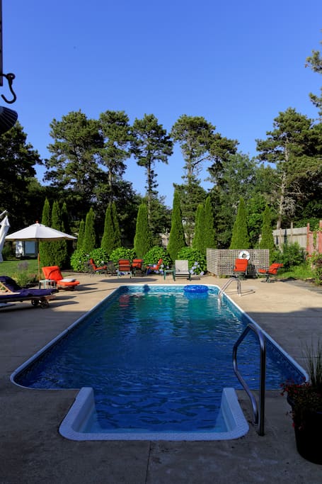 pool and patio area