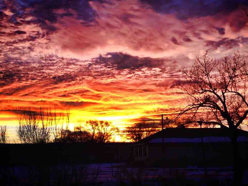 A vibrant sunset blankets the sky in shades of orange, purple, and pink, creating a stunning backdrop. Silhouetted trees and a distant house outline the scene, providing a serene contrast against the vivid colors.