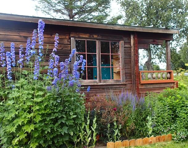 Adventurer Seaside Cabin Guesthouses For Rent In Homer
