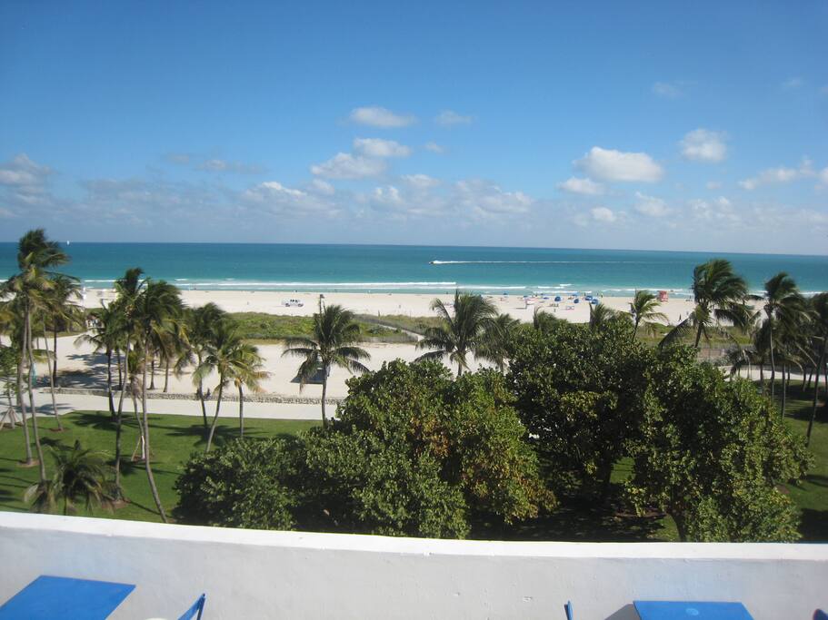 View fr Rooftop pool, looking across Ocean Dr to Lummus Park, beach