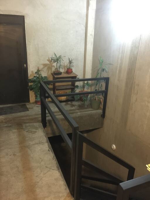 Main entrance (hall) First floor
