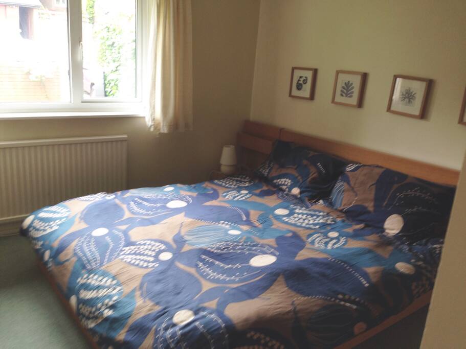 Kingsized bedroom with TV