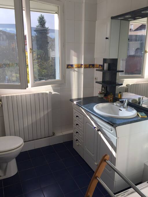Salle de douche avec toilette