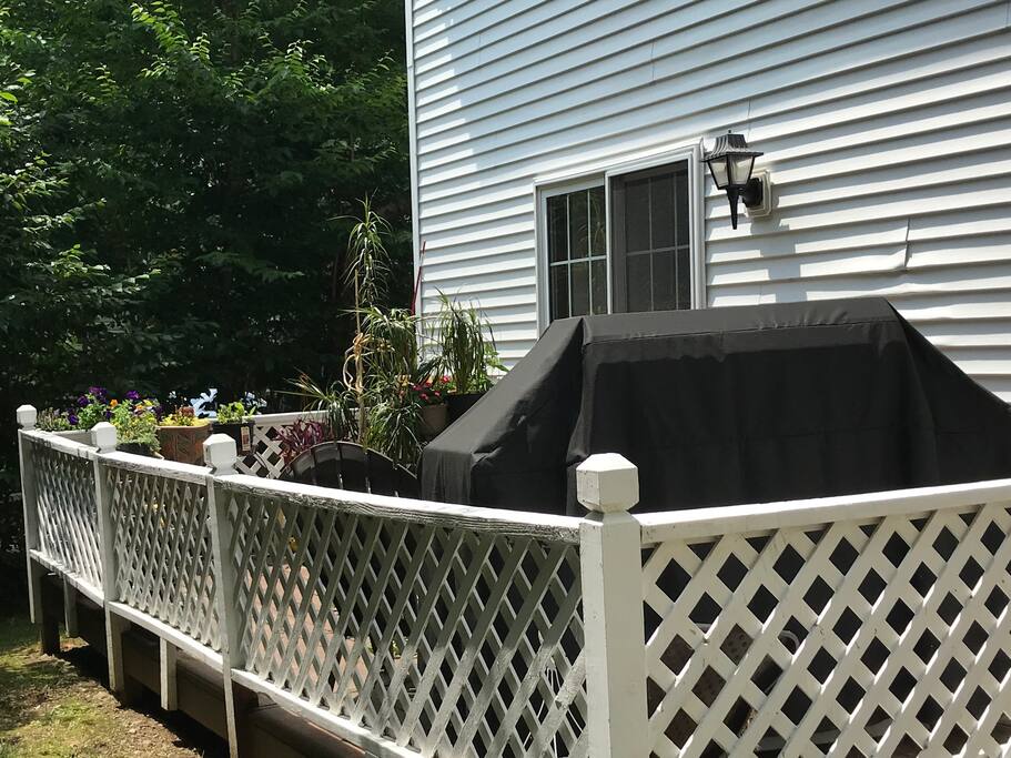 The deck from left of the backyard