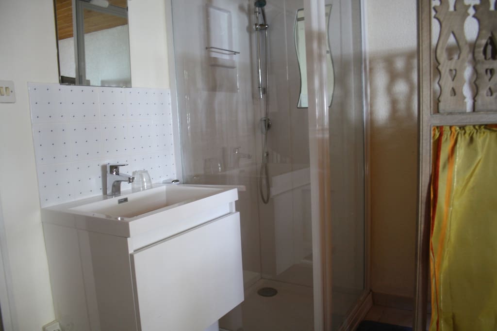douche et lavabo dans la chambre