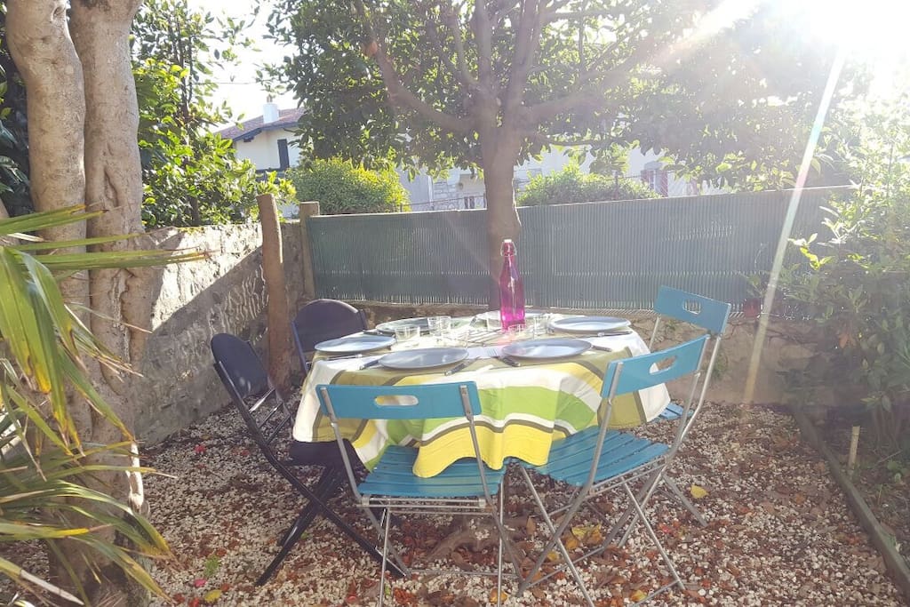 Table sous le camélia avec juste ce qu'il faut d'ombre et de soleil