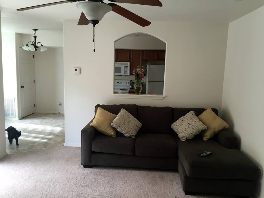 Open plan downstairs. AirCon and heating throughout. Guest have access to kitchen and living room.