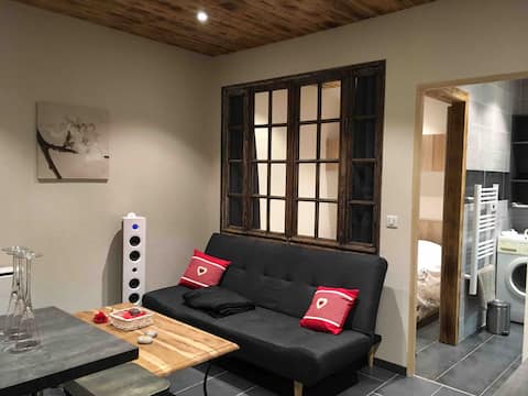 Charmant studio fonctionnel avec petite chambre