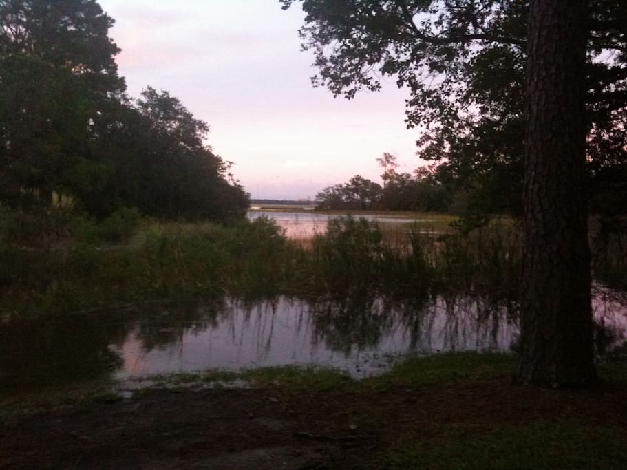 View of marsh from backyard