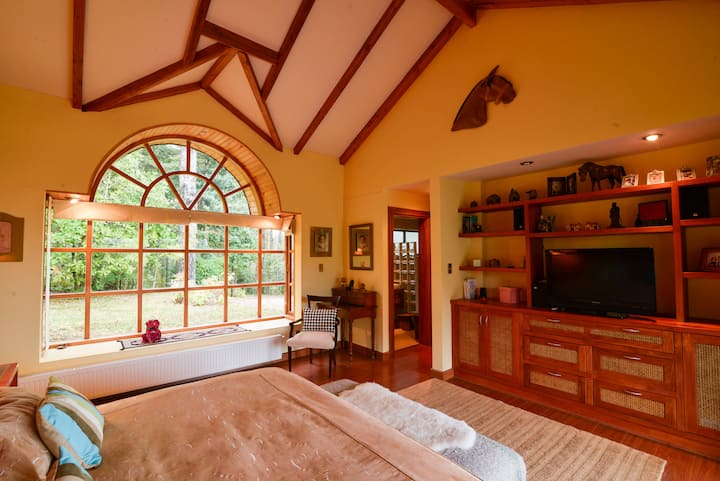 Espectacular habitación con ventanal por ambos lados, vista al lago, cama king, colchon y ropa de cama premium, escritorio pequeño, Smarttv.