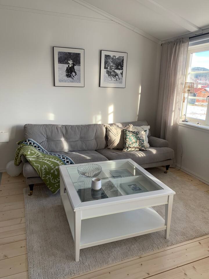 მისაღები სივრცე