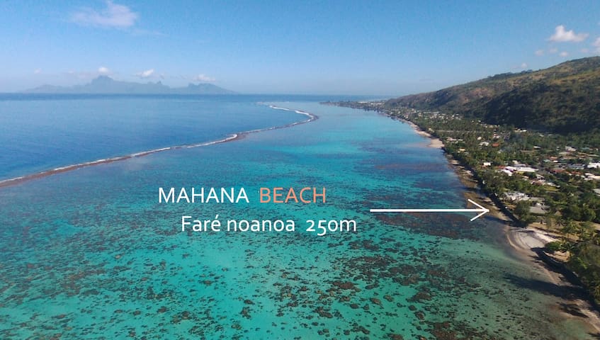 Airbnb Paparā Vacation Rentals Places To Stay