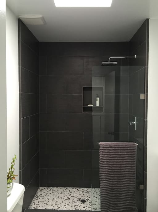Beautiful walk in rain shower with skylight in main bathroom