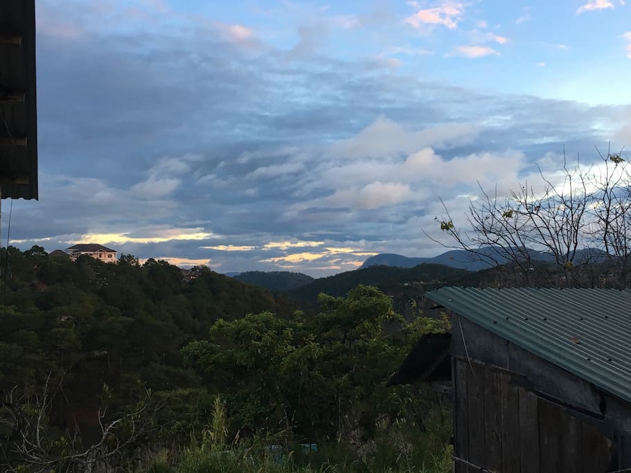 View from back yard