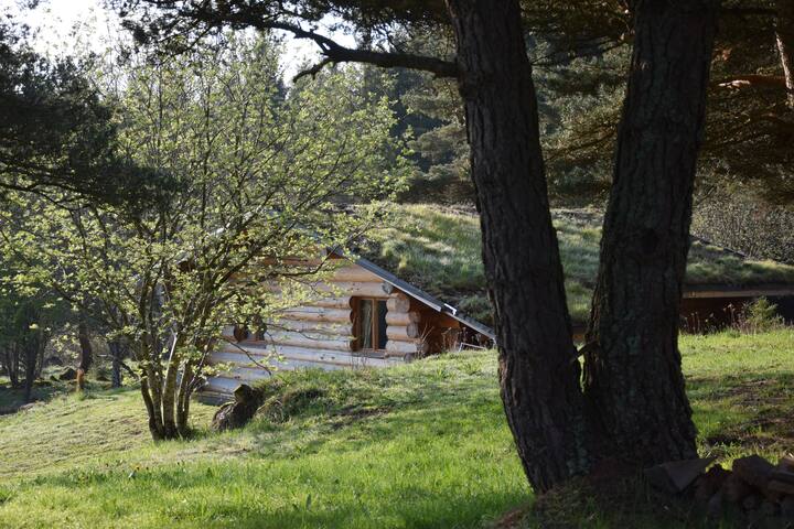 Betula En Pays Du Mezenc Gite Insolite En Rondins Chalets For Rent In Fay Sur Lignon Auvergne Rhone Alpes France