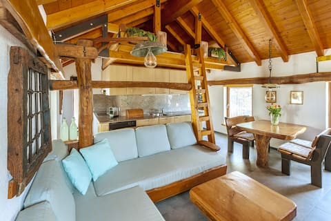Successful Airbnb property: Rustic Caverda in Bellinzona