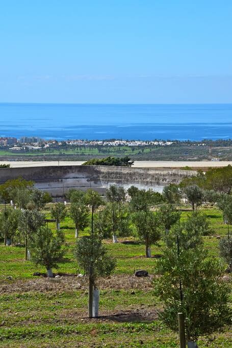 Vistas a los olivos y al mar desde la casa