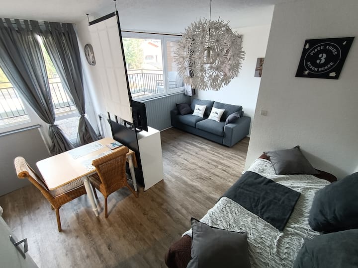 Studio Avec Terrasse - Super-Besse