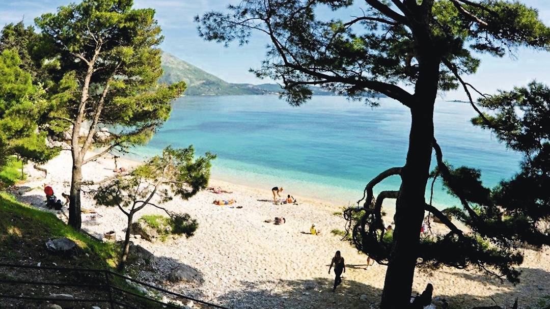 A scenic beach is framed by tall green trees, with visitors relaxing on the sandy shore. The clear blue water gently laps at the pebbly beach, while a distant mountain range completes the tranquil coastal view.