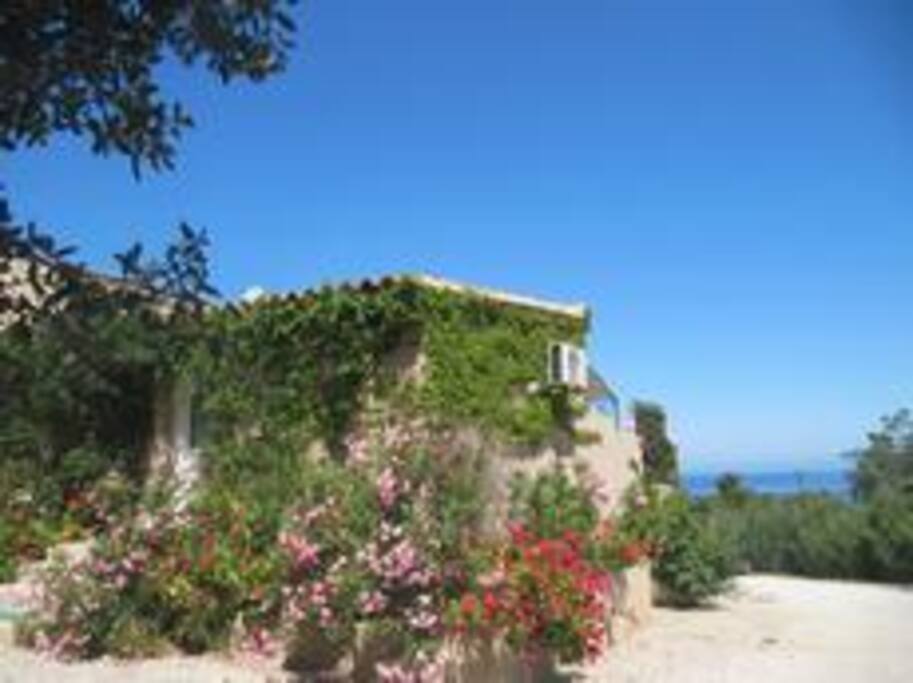 Mini villa tapissée de fleurs
